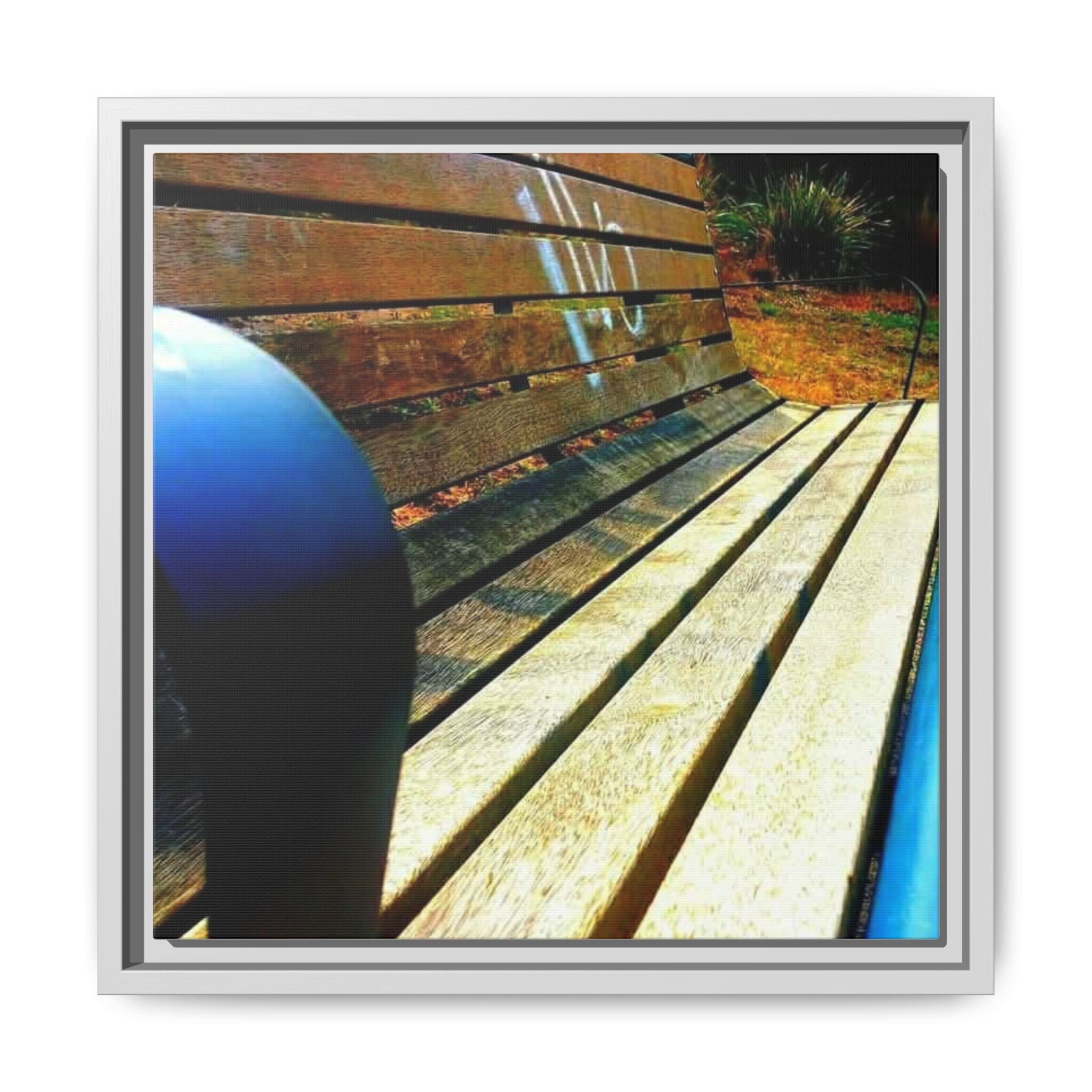 Sunlit Park Bench Matte Canvas Print — Framed Wall Art