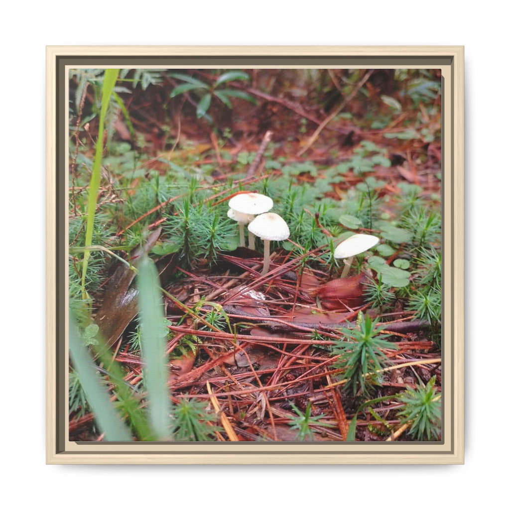 WHERE FAE RESIDE Framed Mushroom Forest Canvas Wall Art — Matte Nature Photography Print