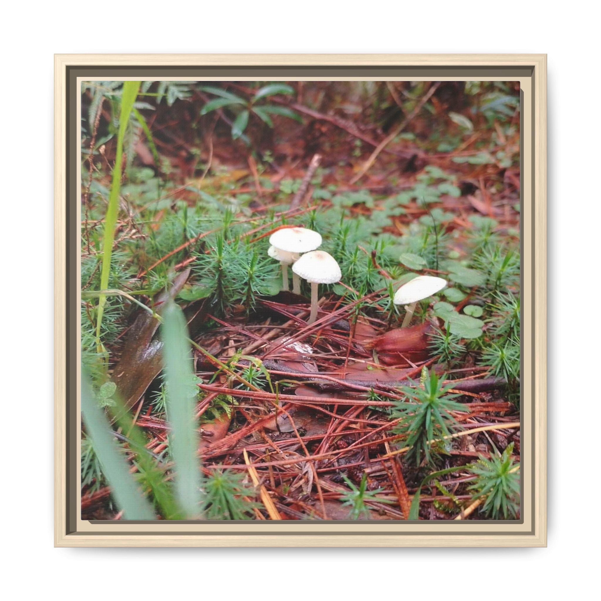 WHERE FAE RESIDE Framed Mushroom Forest Canvas Wall Art — Matte Nature Photography Print