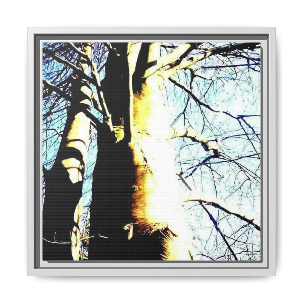 SUNLIT TREE TRUNK Matte Framed Canvas — Nature Wall Art