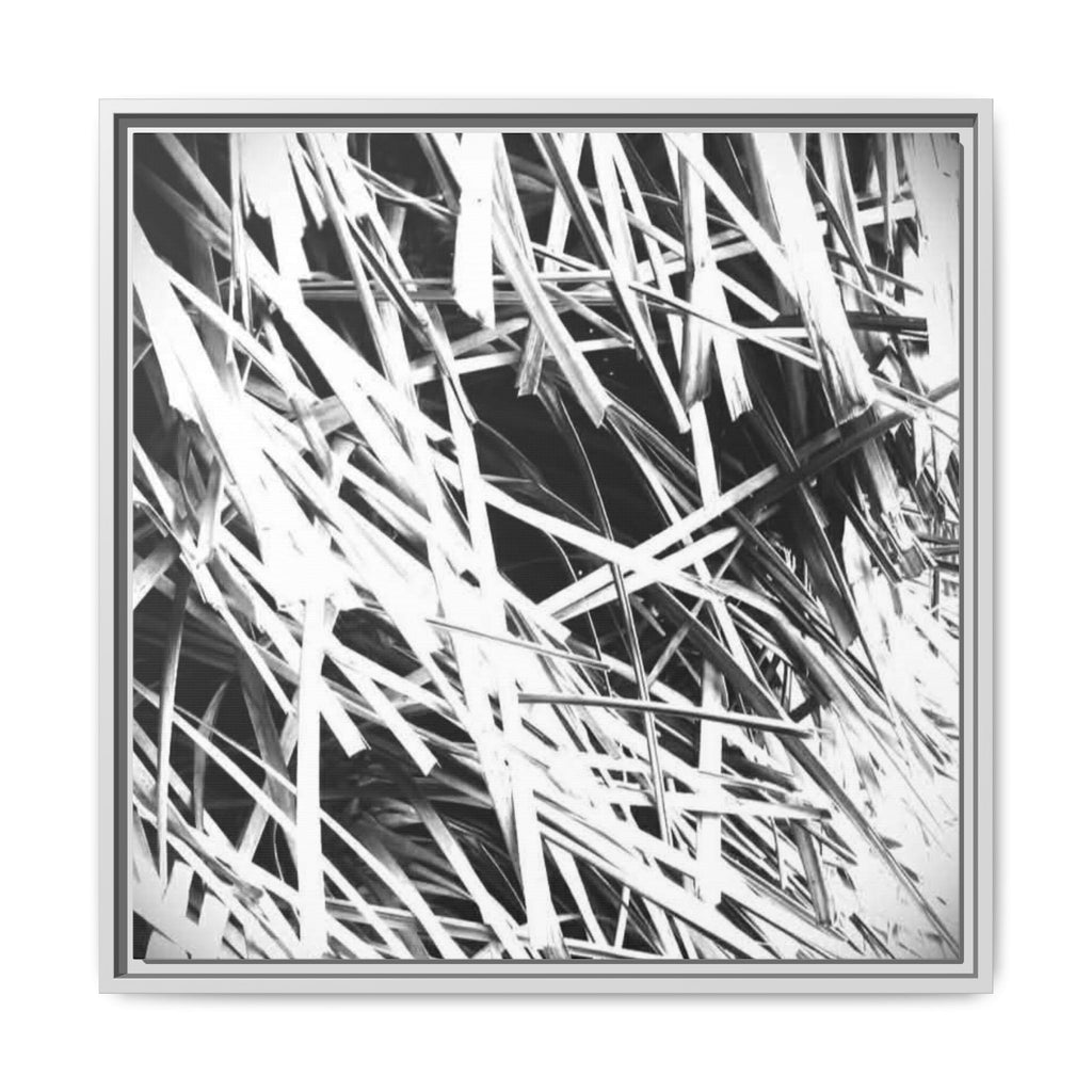 Black & White Abstract Grass Matte Canvas Framed Wall Art