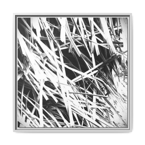 Black & White Abstract Grass Matte Canvas Framed Wall Art