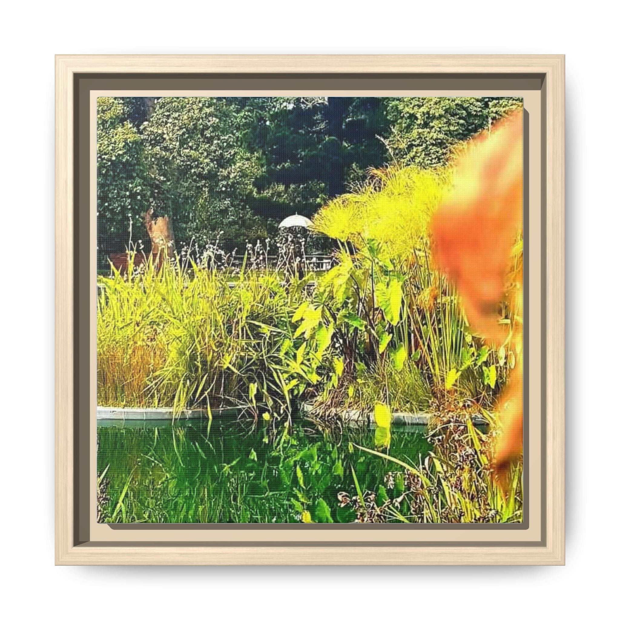 ST KILDA BOTANICAL GARDENS Framed Matte Canvas Print — Colorful Botanical Pond Wall Art