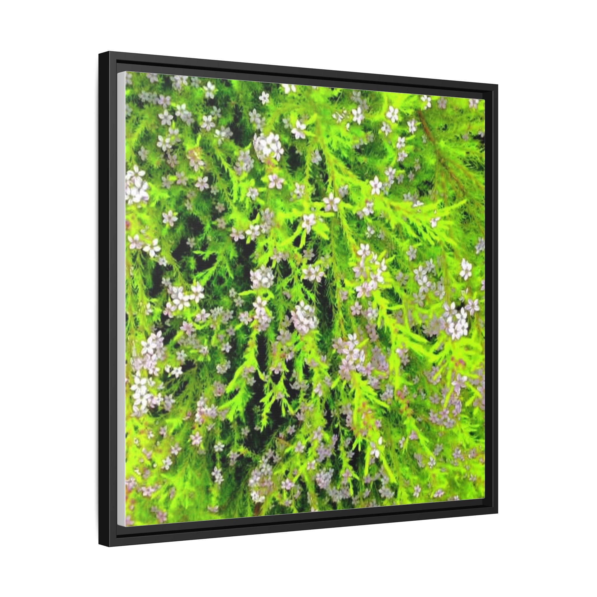 Framed Floral Moss Canvas Wall Art — Green Botanical Print