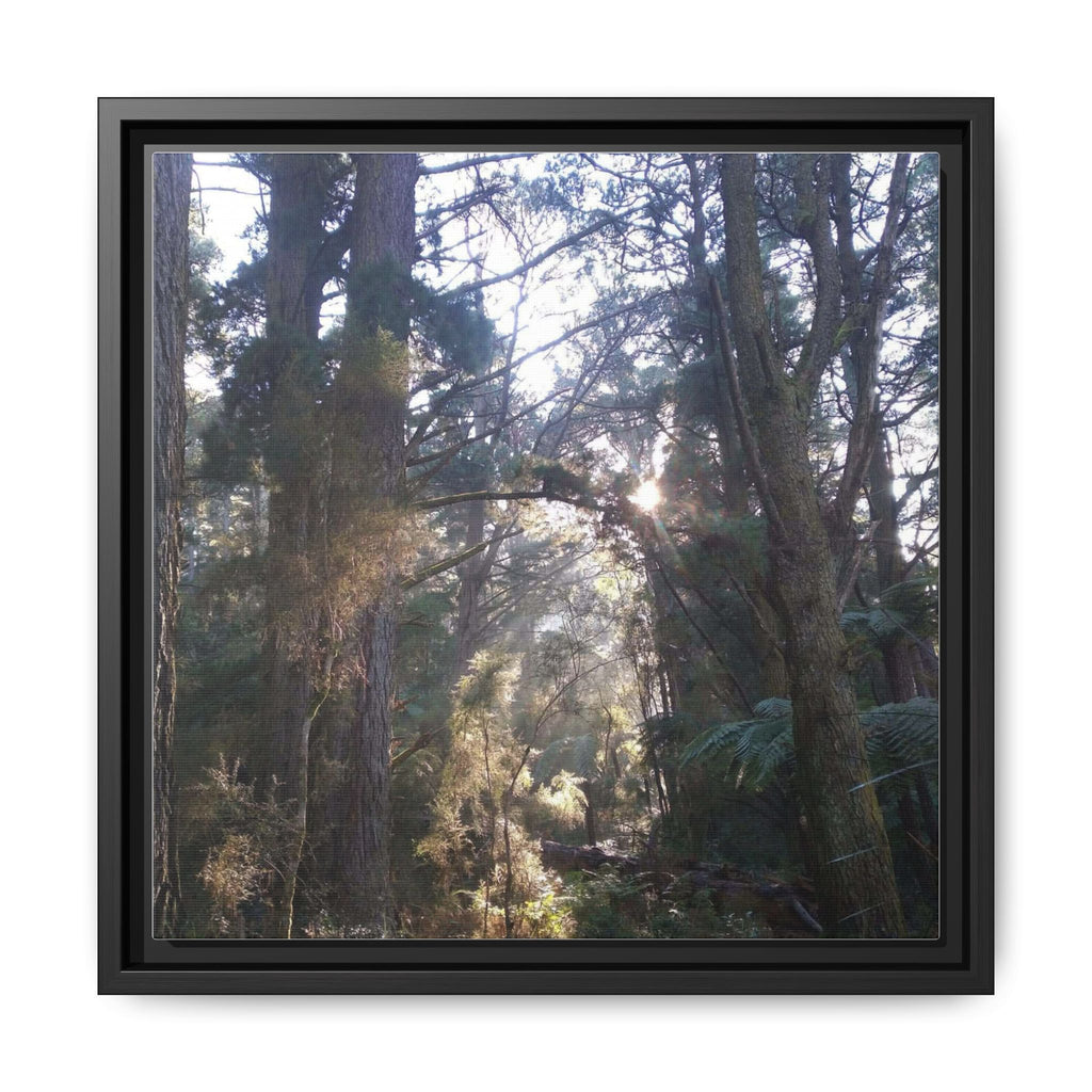 YARRA RANGES Framed Matte Canvas Wall Art — Sunlit Forest Landscape