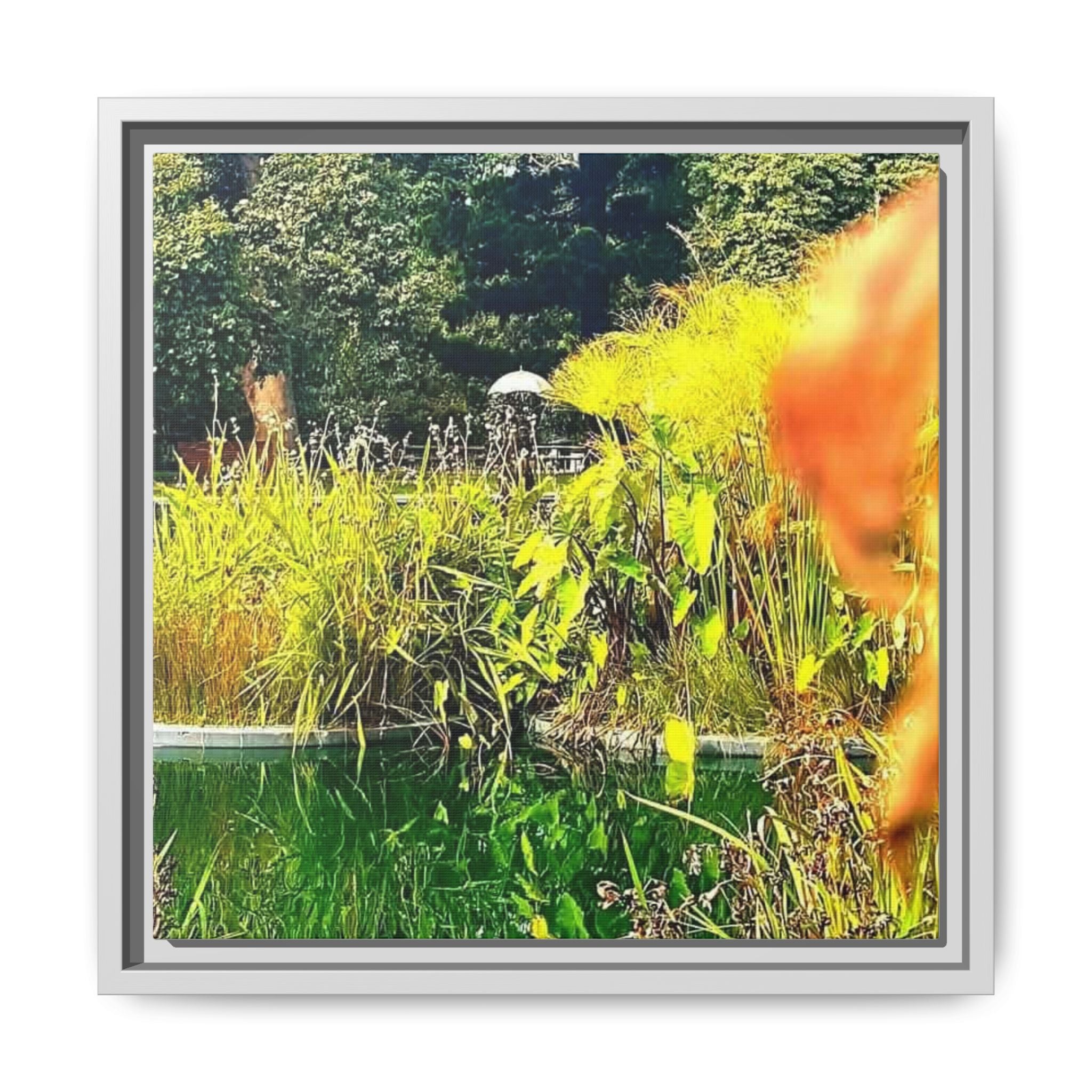 ST KILDA BOTANICAL GARDENS Framed Matte Canvas Print — Colorful Botanical Pond Wall Art