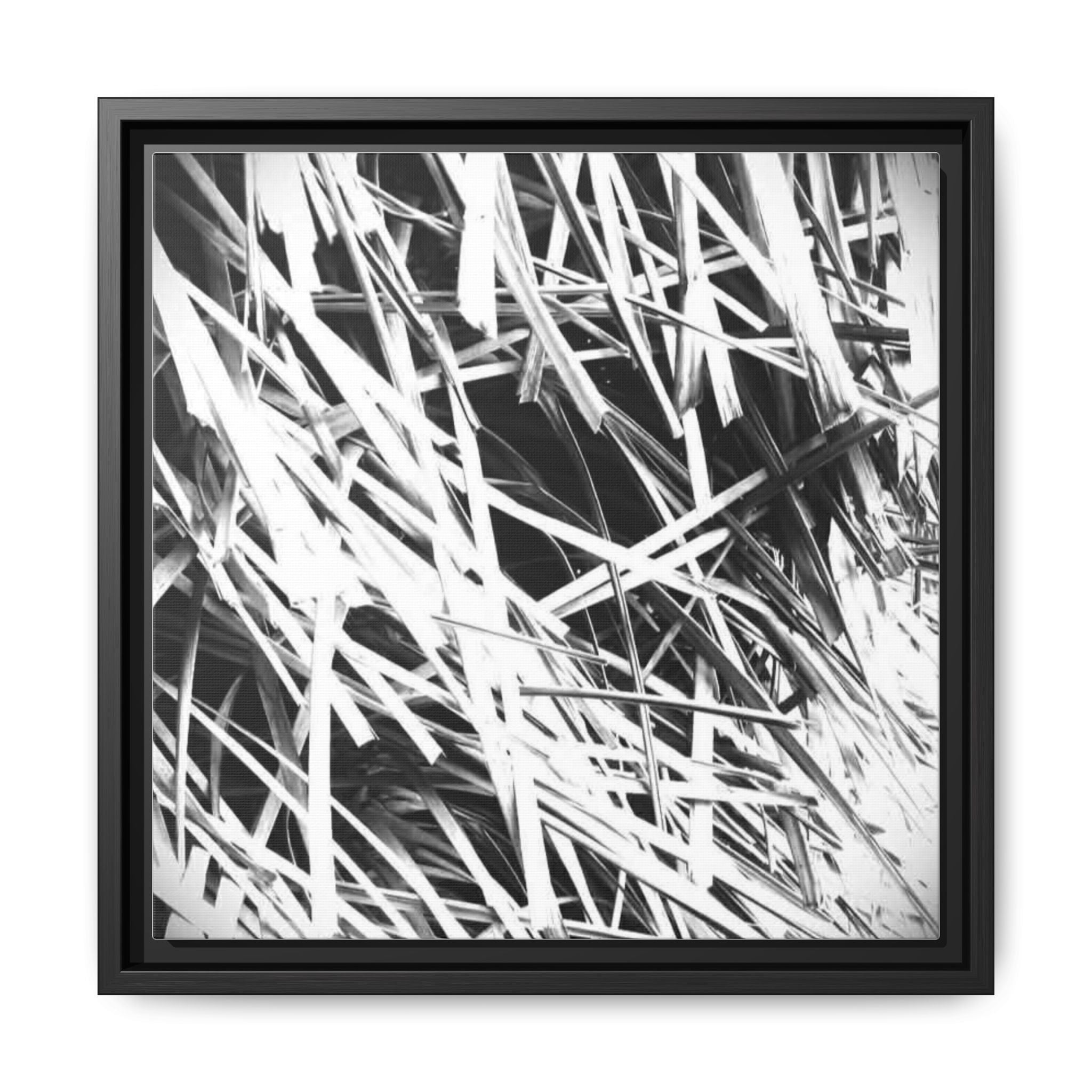Black & White Abstract Grass Matte Canvas Framed Wall Art