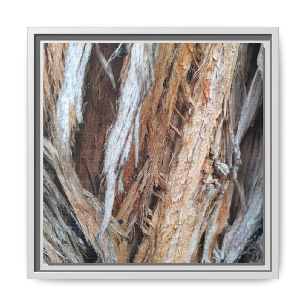 TEXTURED Framed Canvas Wall Art — Rustic Cedar Bark Texture