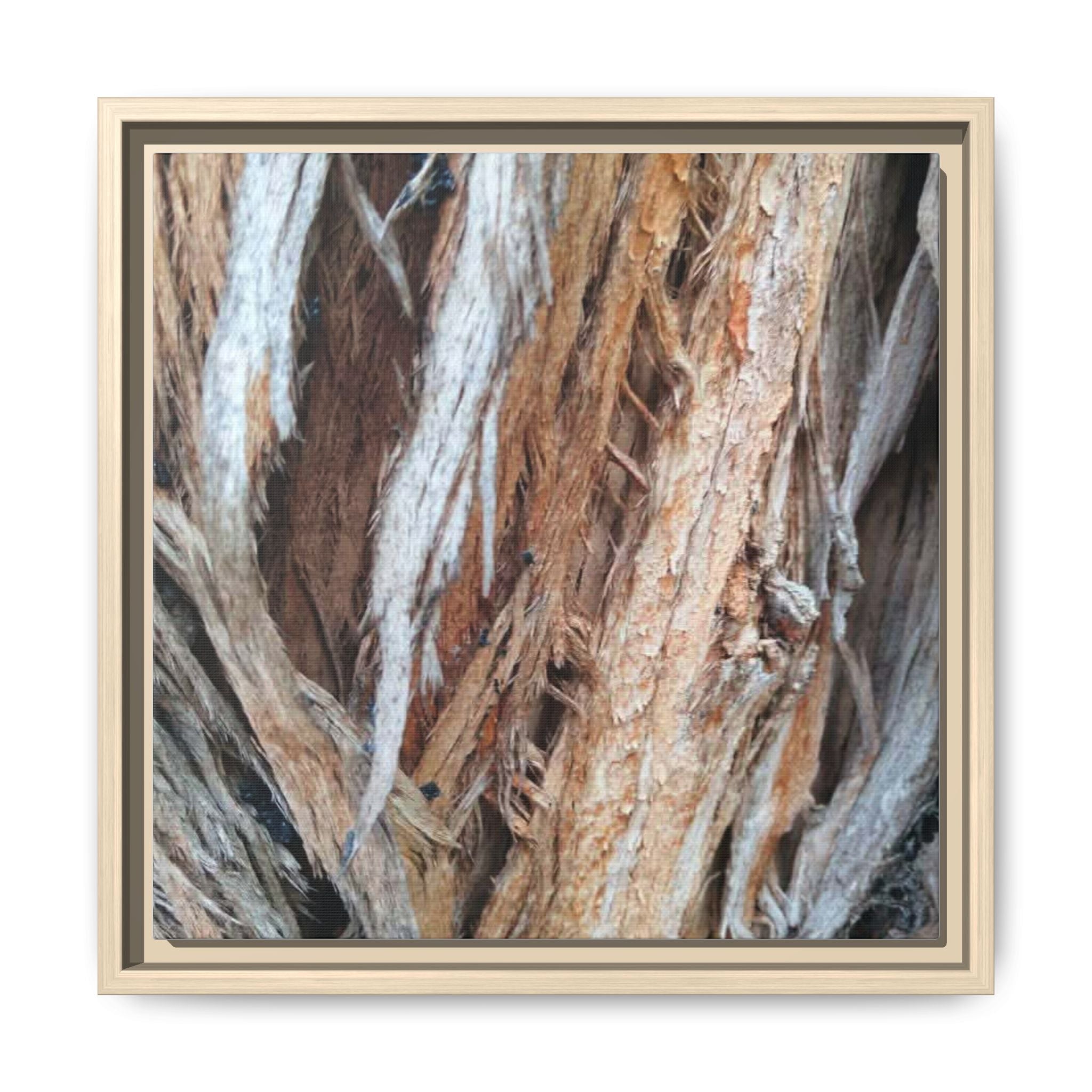 TEXTURED Framed Canvas Wall Art — Rustic Cedar Bark Texture