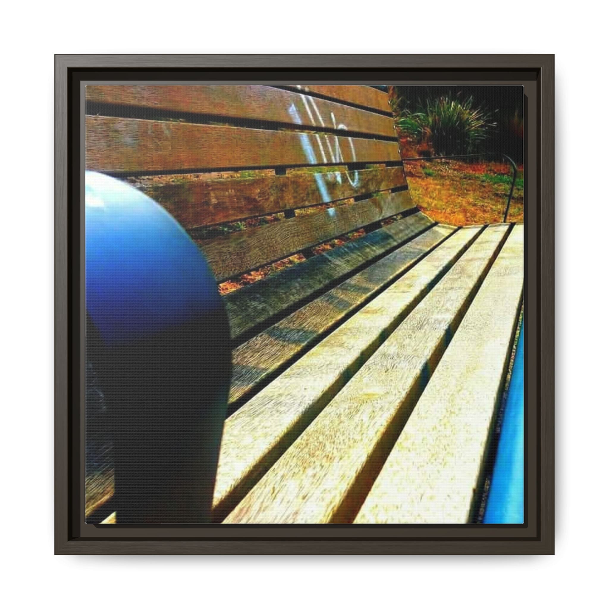 Sunlit Park Bench Matte Canvas Print — Framed Wall Art