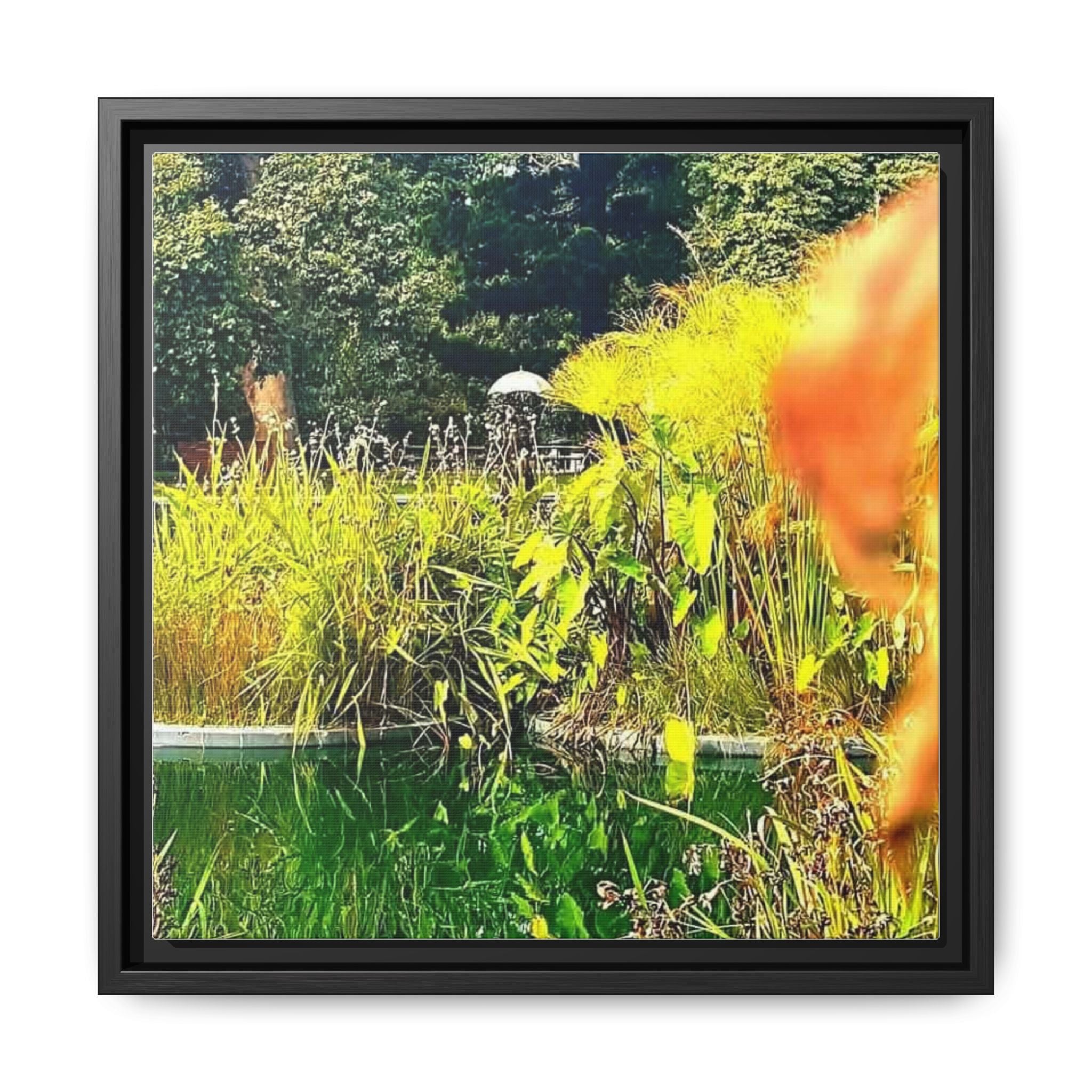 ST KILDA BOTANICAL GARDENS Framed Matte Canvas Print — Colorful Botanical Pond Wall Art