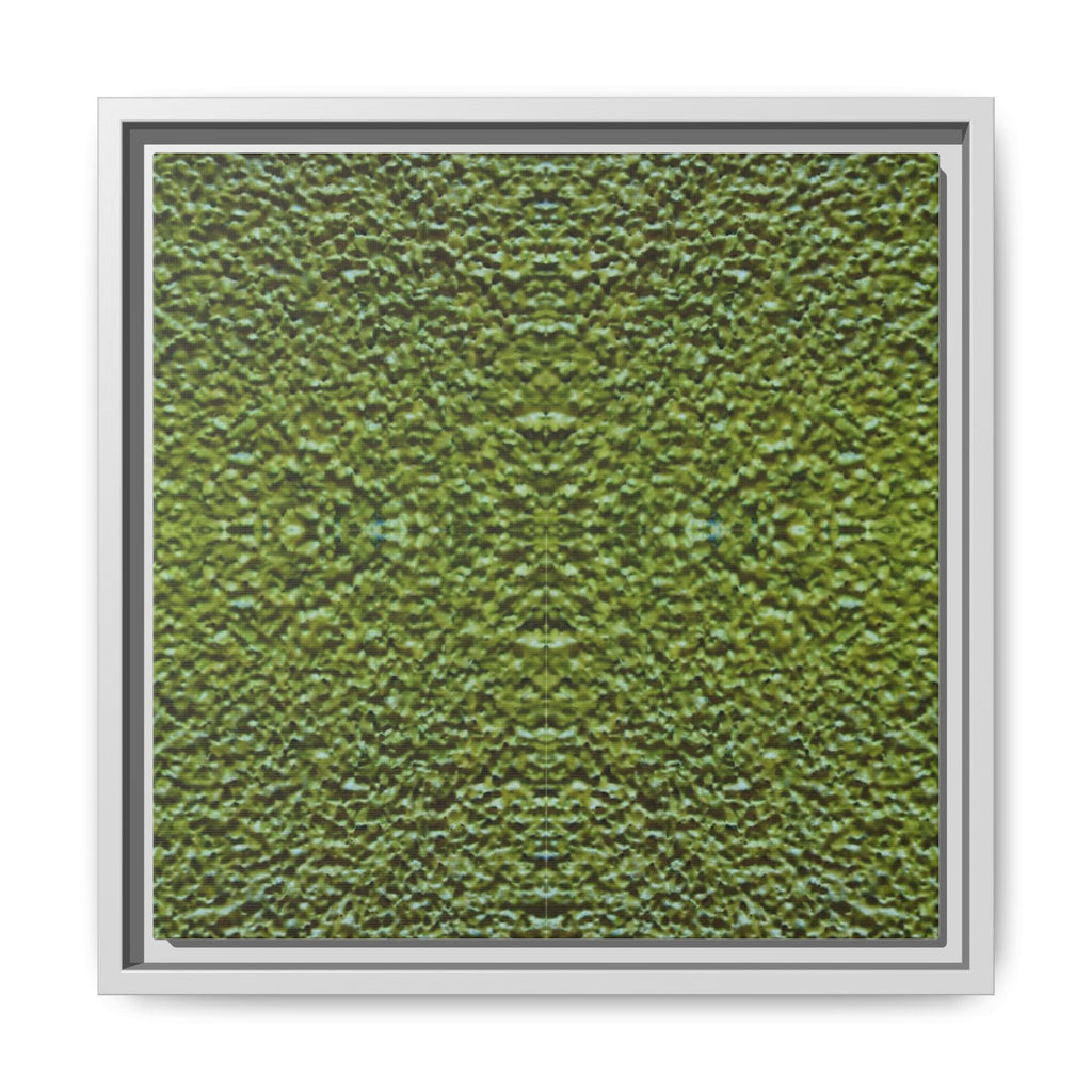 MOSS 3 Framed Moss Texture Canvas Art — Green Abstract Wall Decor