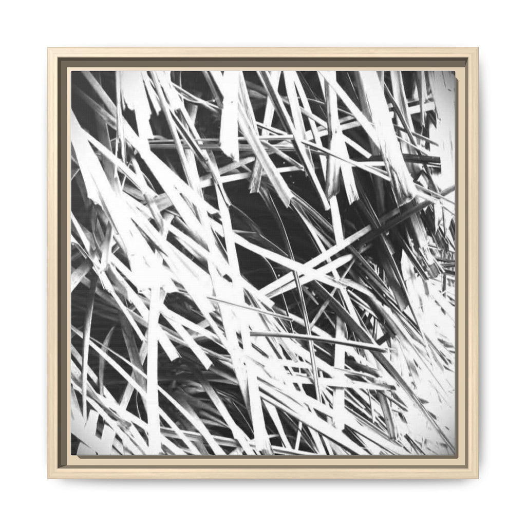 Black & White Abstract Grass Matte Canvas Framed Wall Art
