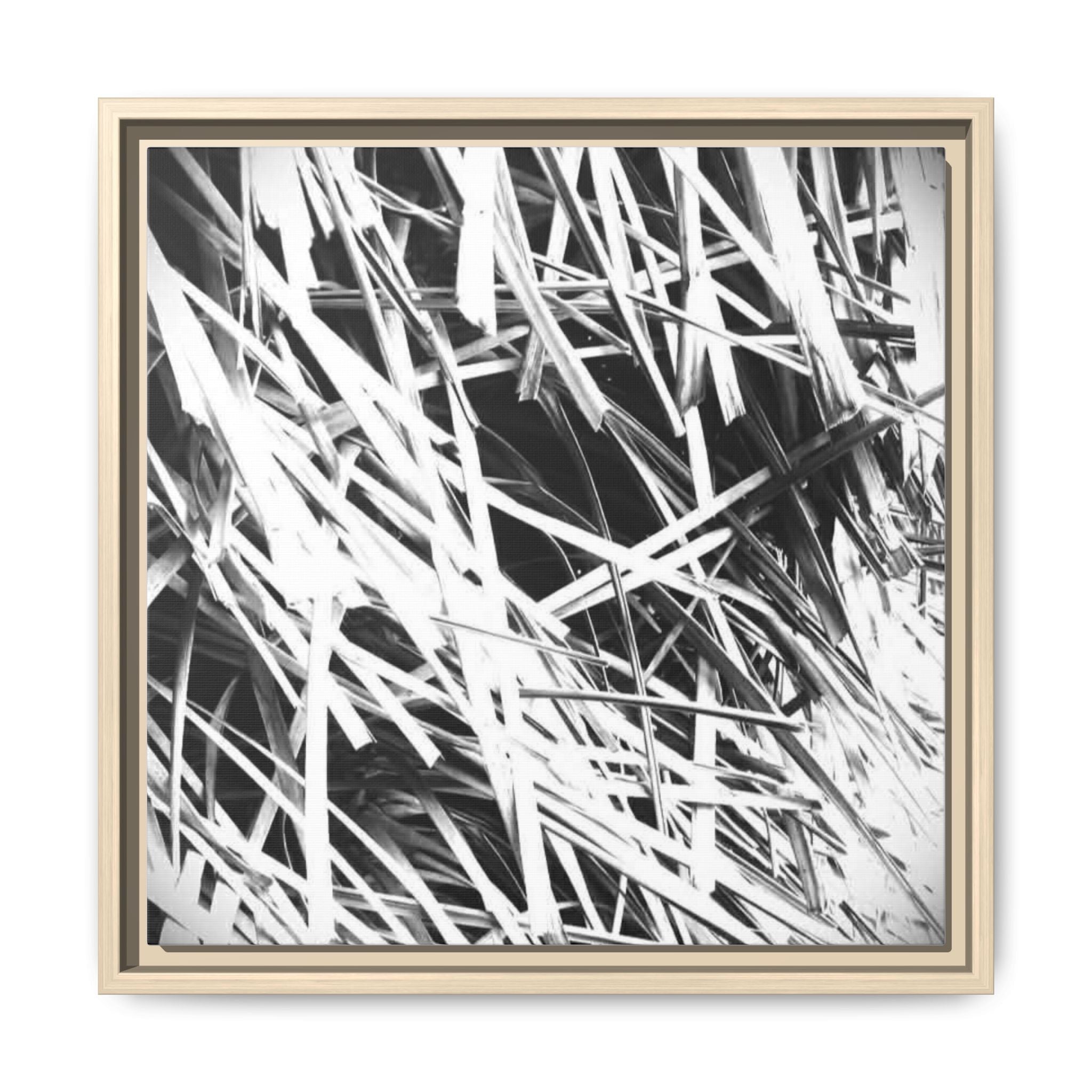 Black & White Abstract Grass Matte Canvas Framed Wall Art