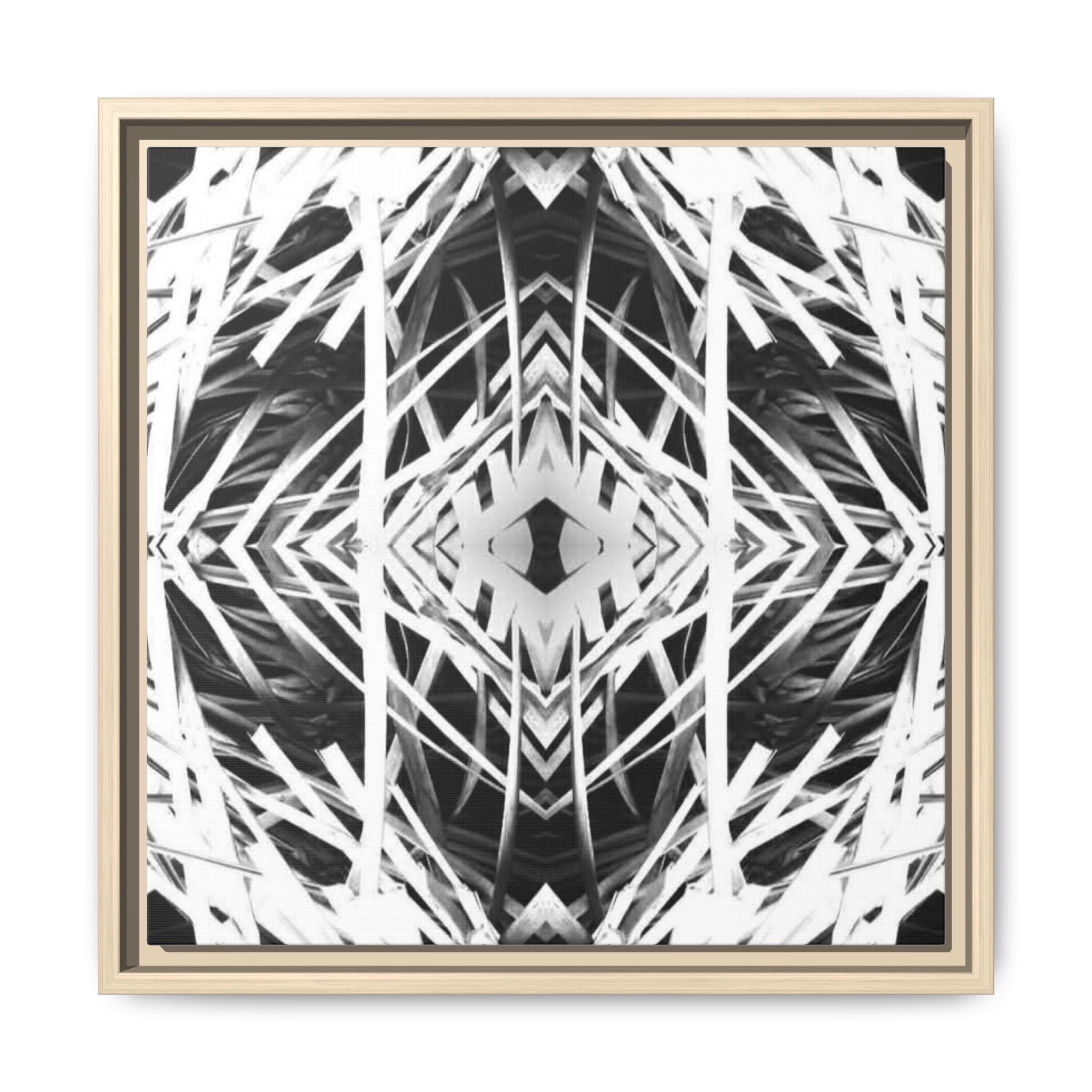 Framed Matte Canvas - Black & White Geometric Abstract Art
