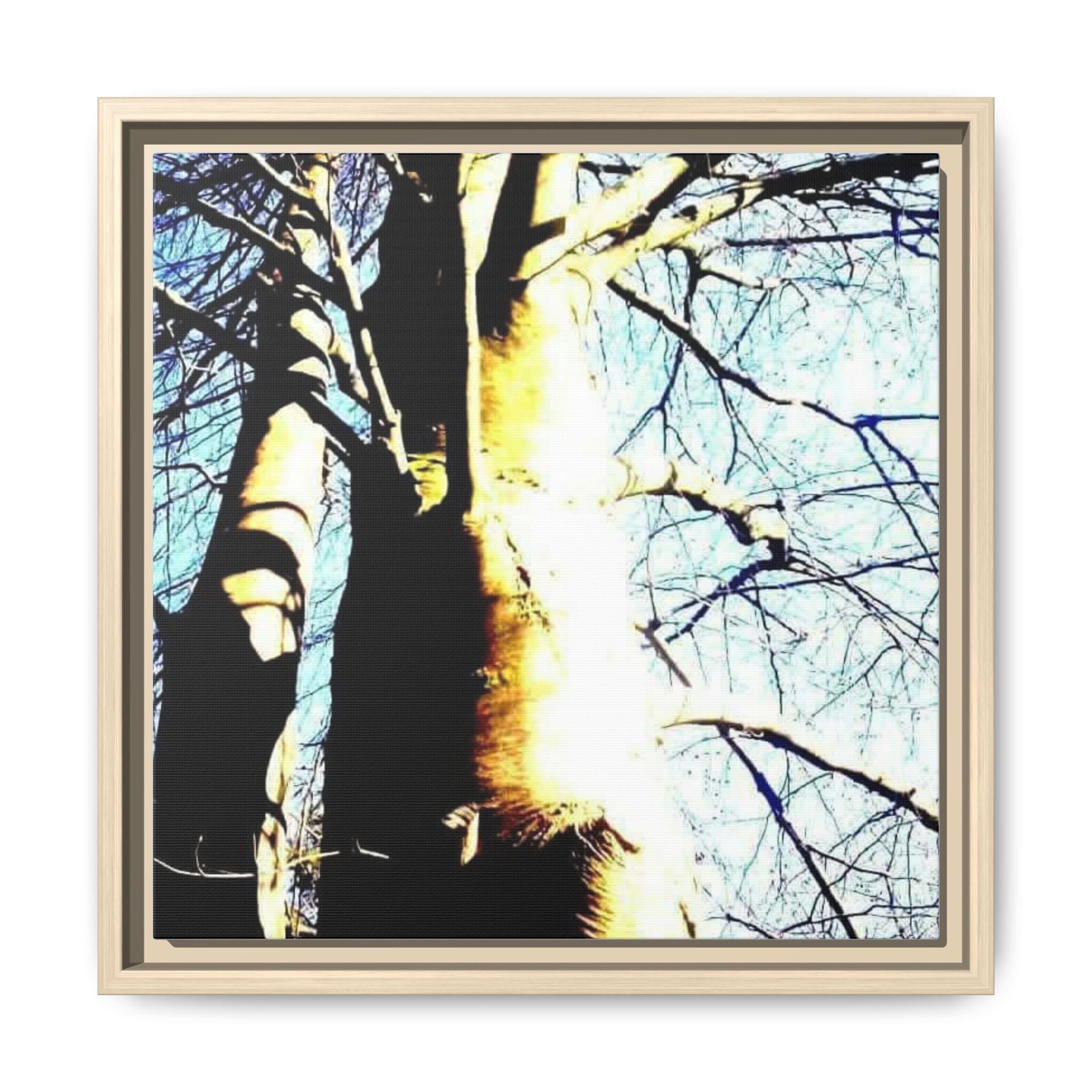 SUNLIT TREE TRUNK Matte Framed Canvas — Nature Wall Art