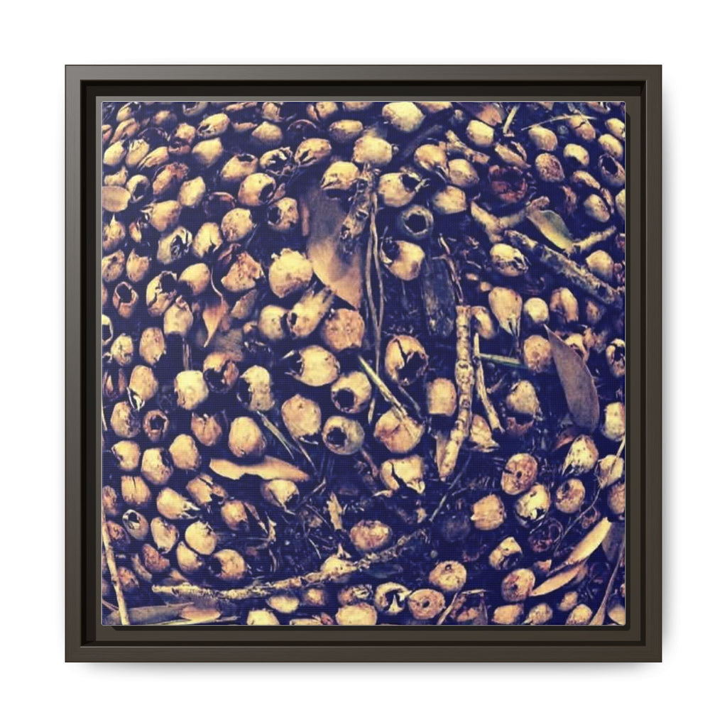 KALEIDOSCOPE ACORNS (original image) Framed Matte Canvas Art - Golden Seed Pod Close-Up