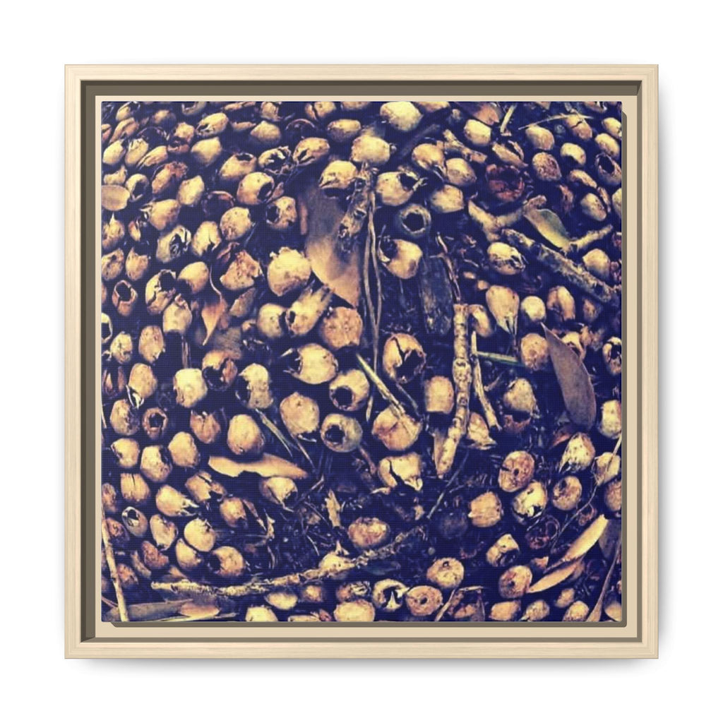 KALEIDOSCOPE ACORNS (original image) Framed Matte Canvas Art - Golden Seed Pod Close-Up