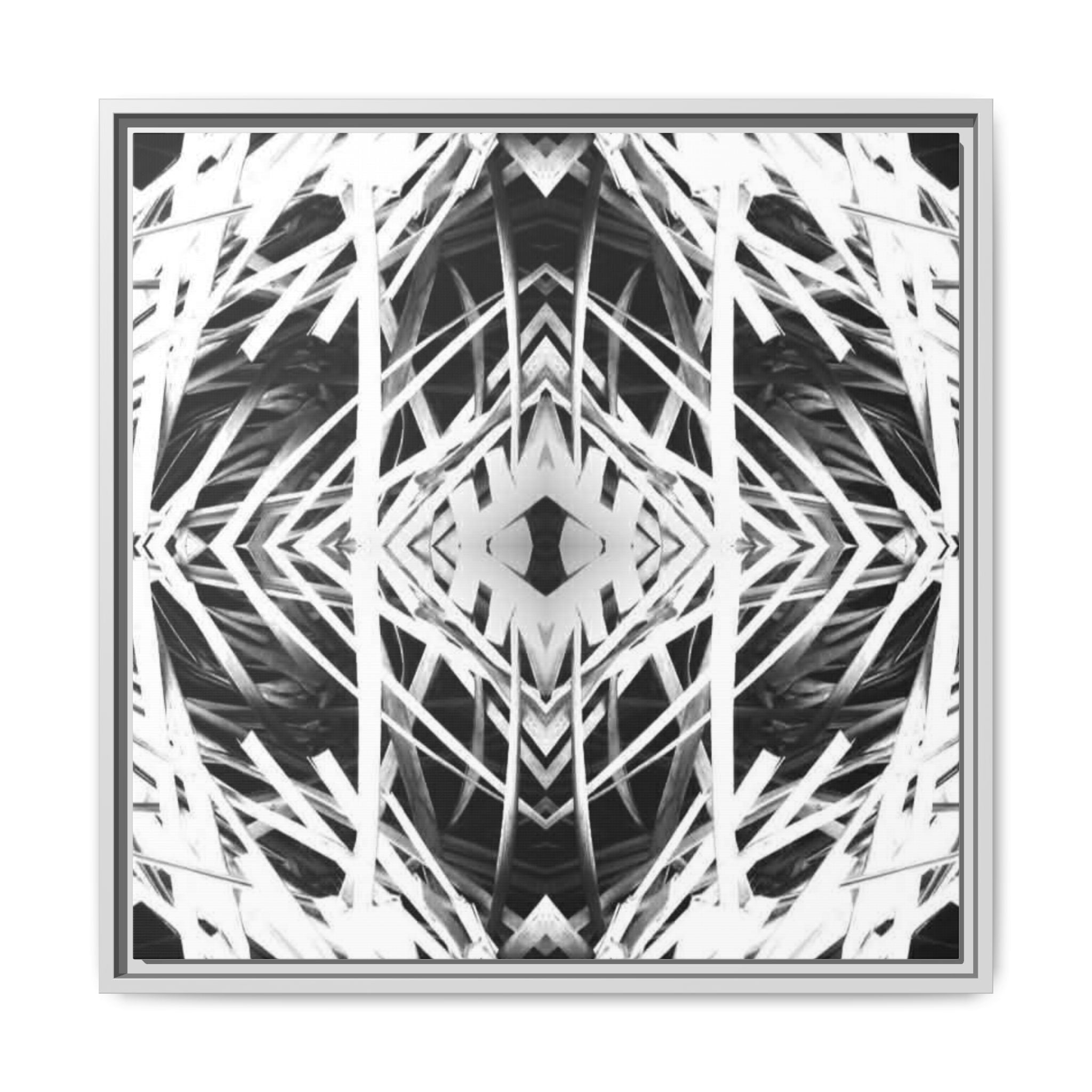 Framed Matte Canvas - Black & White Geometric Abstract Art