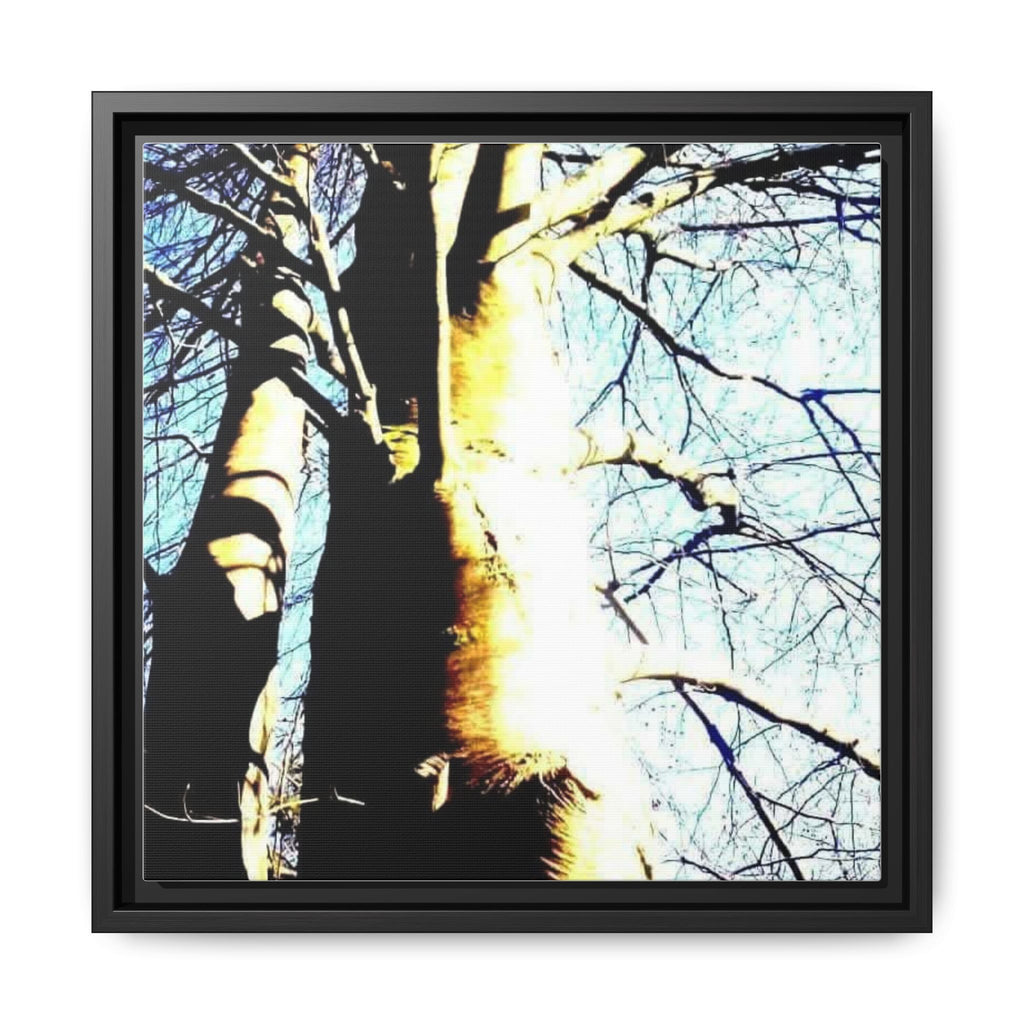 SUNLIT TREE TRUNK Matte Framed Canvas — Nature Wall Art