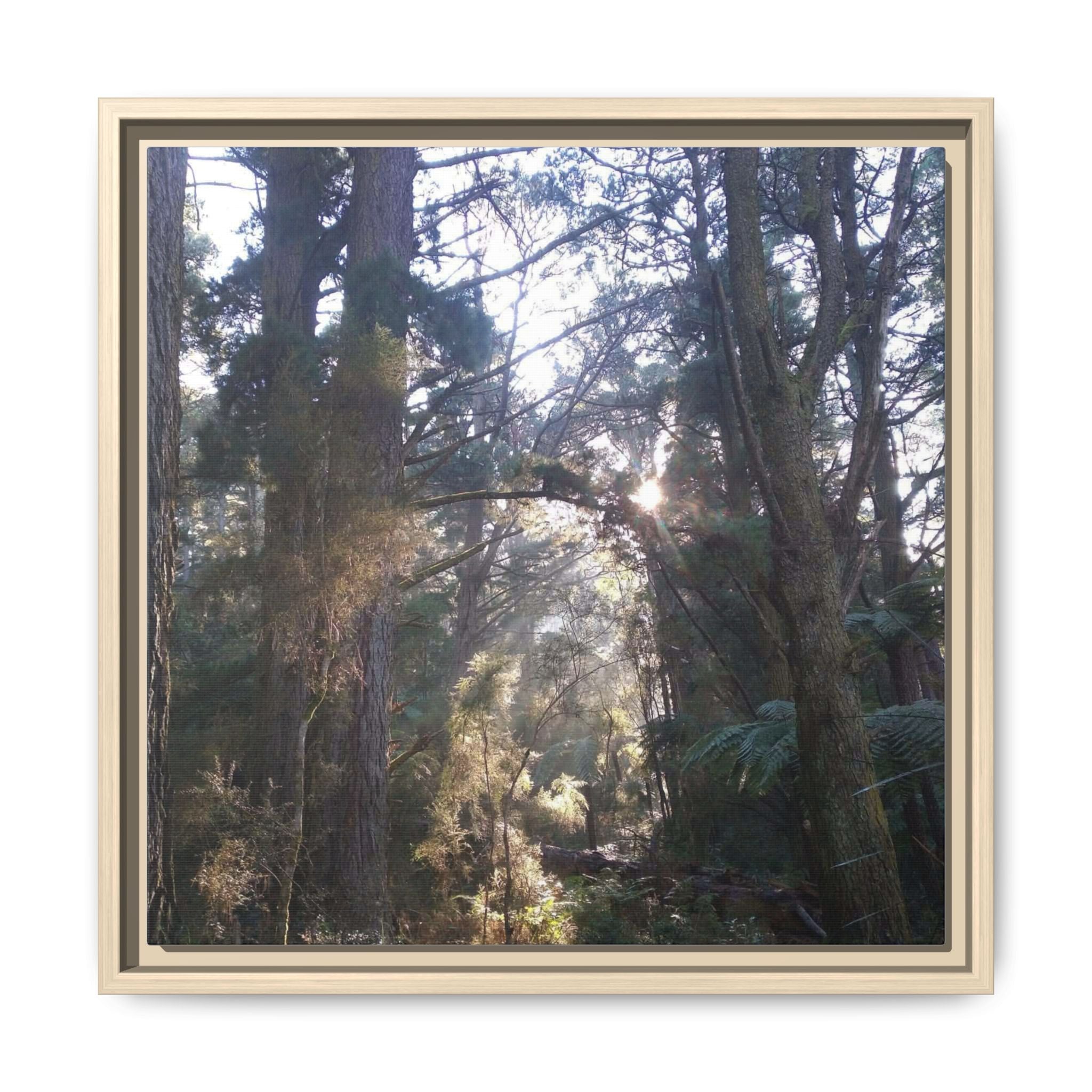 YARRA RANGES Framed Matte Canvas Wall Art — Sunlit Forest Landscape
