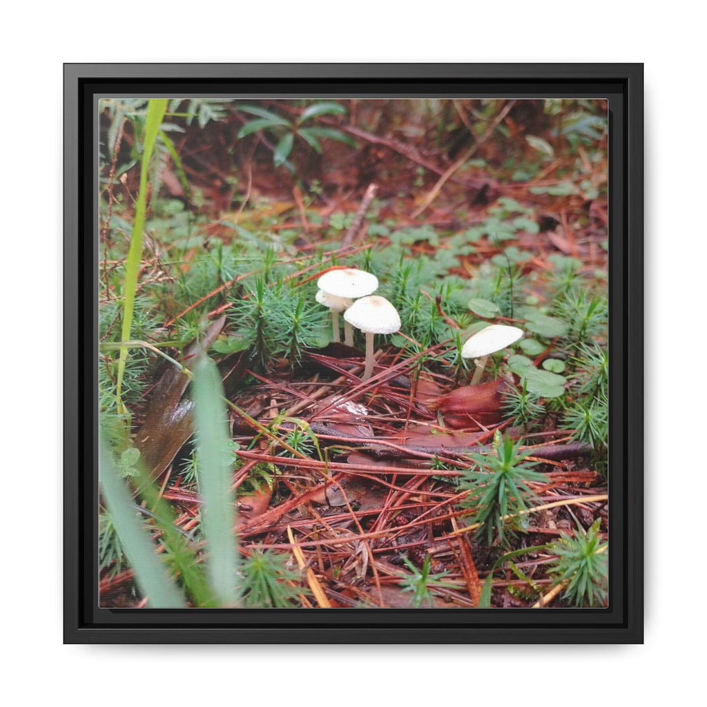 WHERE FAE RESIDE Framed Mushroom Forest Canvas Wall Art — Matte Nature Photography Print