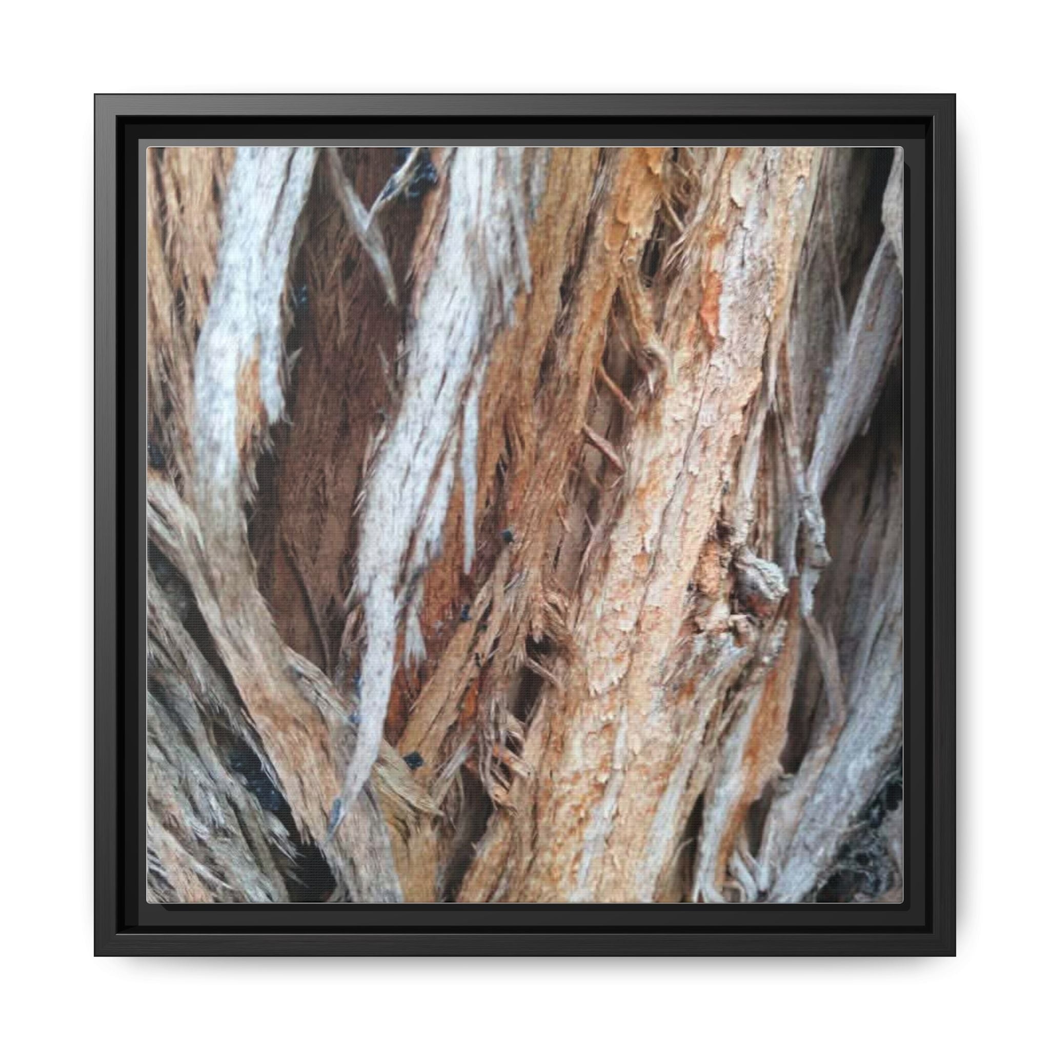 TEXTURED Framed Canvas Wall Art — Rustic Cedar Bark Texture