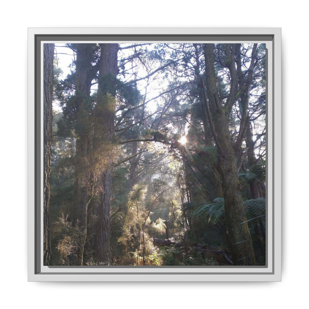 YARRA RANGES Framed Matte Canvas Wall Art — Sunlit Forest Landscape