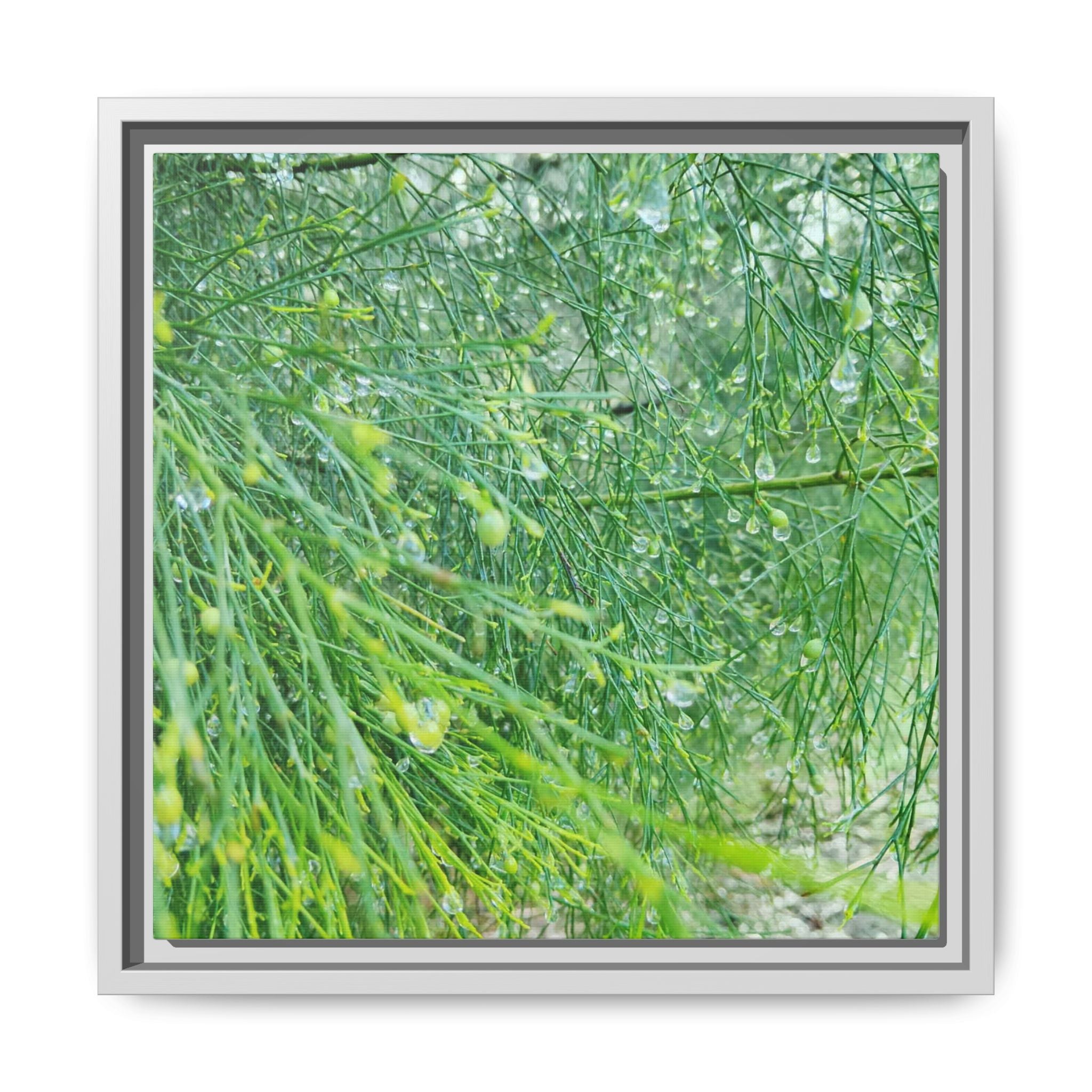 DROPLETS Framed Matte Canvas Print — Lush Greenery Nature Wall Art
